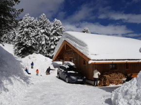 Wildererhütte Chalet Helmut